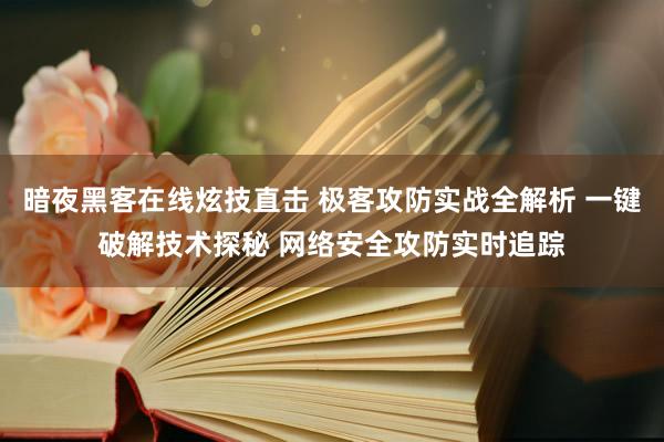 暗夜黑客在线炫技直击 极客攻防实战全解析 一键破解技术探秘 网络安全攻防实时追踪