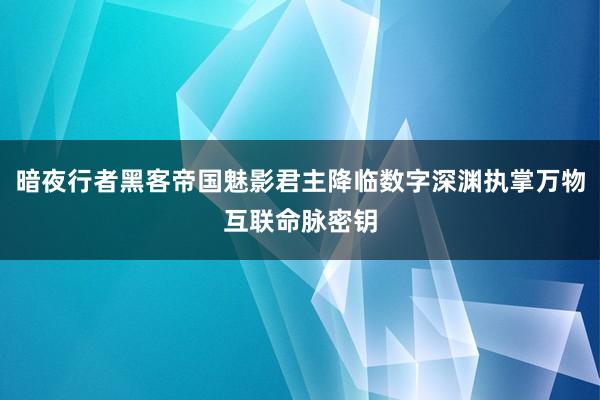 暗夜行者黑客帝国魅影君主降临数字深渊执掌万物互联命脉密钥