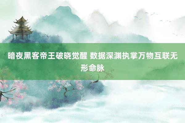 暗夜黑客帝王破晓觉醒 数据深渊执掌万物互联无形命脉