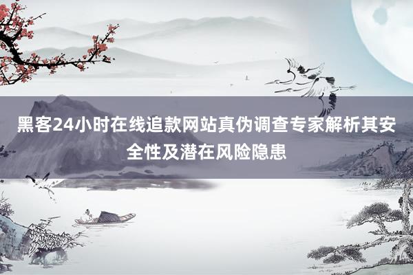 黑客24小时在线追款网站真伪调查专家解析其安全性及潜在风险隐患